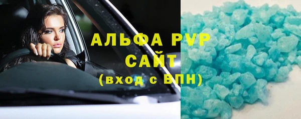 молекула духа Богородицк