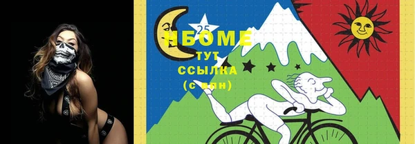 mix Бородино